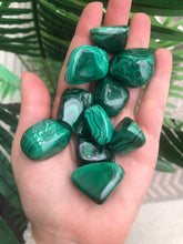 Load image into Gallery viewer, Tumbled Malachite Crystal Gemstones
